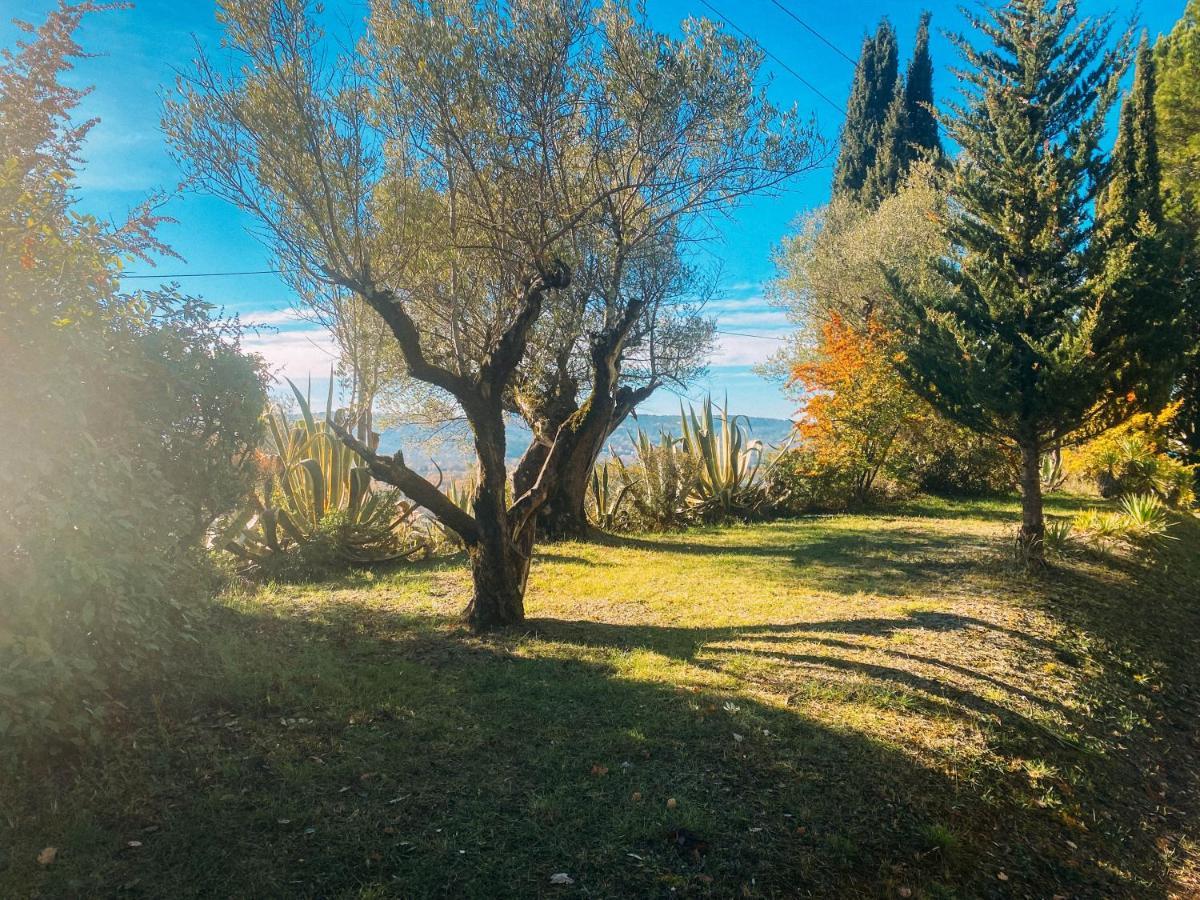 Les Lodges De Saint-Cassien 3 Montauroux Luaran gambar